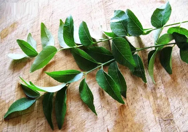 7 Benefits of curry leaves for hair