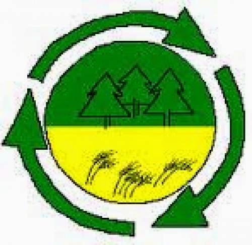 What Is Bioenergy