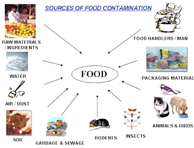 Syed Akbar Journalist: Food Adulteration Goes Unchecked: Strong Mechanism Needed