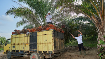 Berkomitmen, Jelang Idul Fitri PT Perkebunan Mitra Ogan Penuhi Hak Karyawan