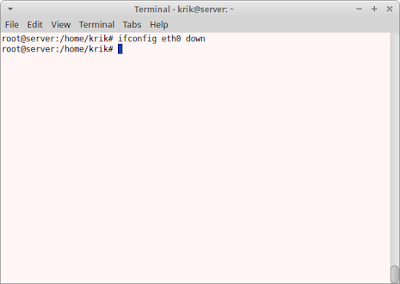 ifconfig eth0 down