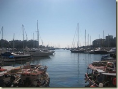 Zea Marina (Small)