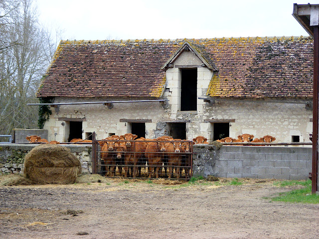 Photographed by Susan from Loire Valley Time Travel. https://tourtheloire.com