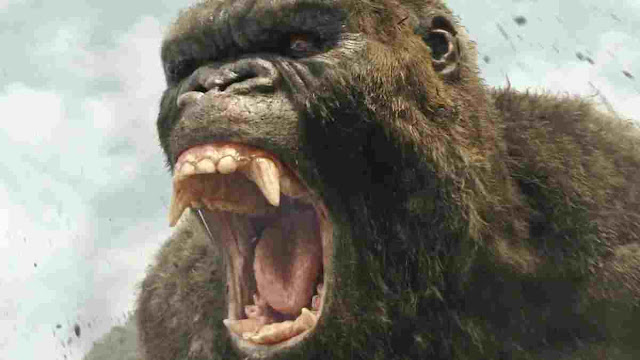 Kong: Skull Island Movie Review , Rating , Story, Casting | Jordan Vogt-roberts, Tom Hiddleston, Samuel L. Jackson | Hollywood Movie Reviews