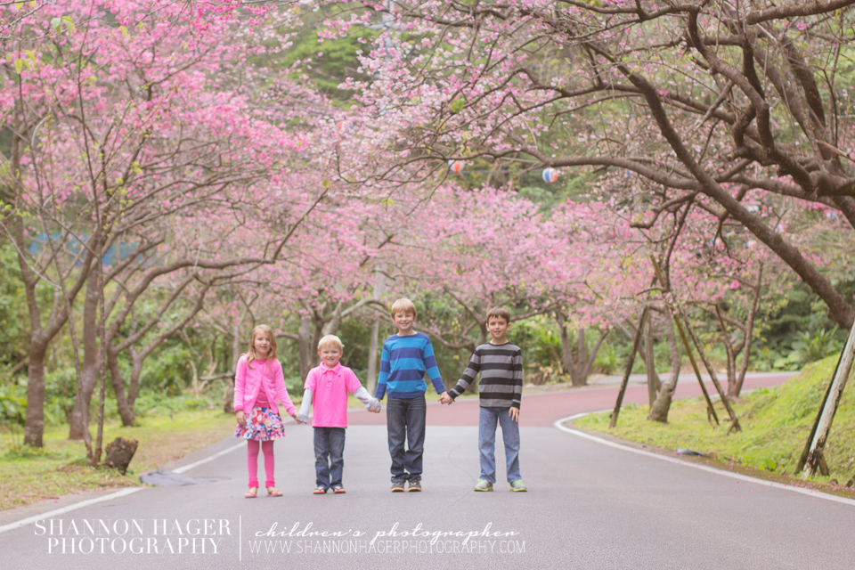 Cherry Blossoms in Okinawa by Shannon Hager Photography, Portland Children's Photographer