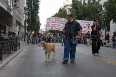 The Return of the Riot Dog Seen On www.coolpicturegallery.us