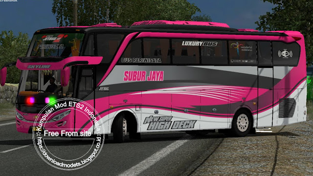SHD HINO RK8 ETS2 bus mod