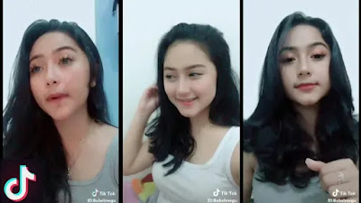 Artis Tik Tok Yang Lagi Populer Di Indonesia