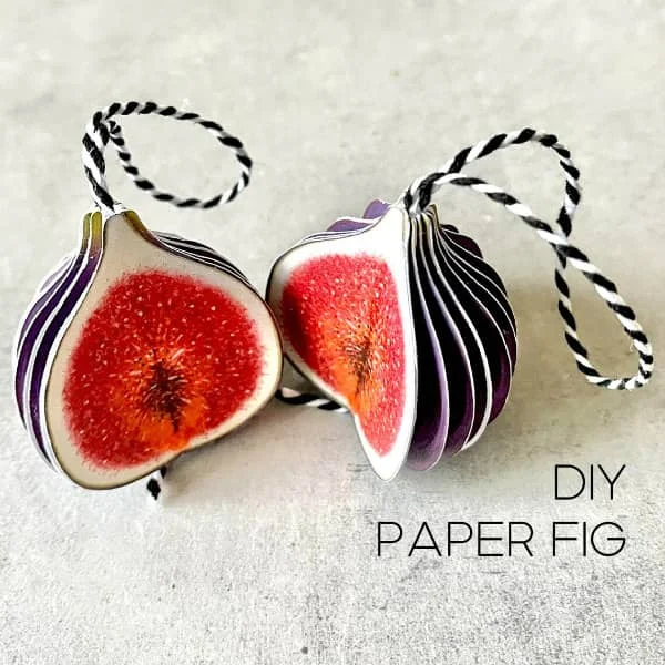 realistic paper fig ornament with black and white hanging cord