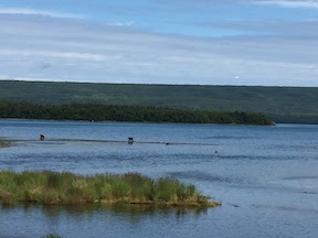 Katmai National Park