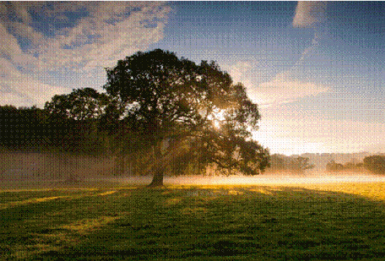 clip_image005
