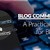 Blog commenting