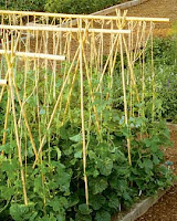 Bamboo Garden Stakes