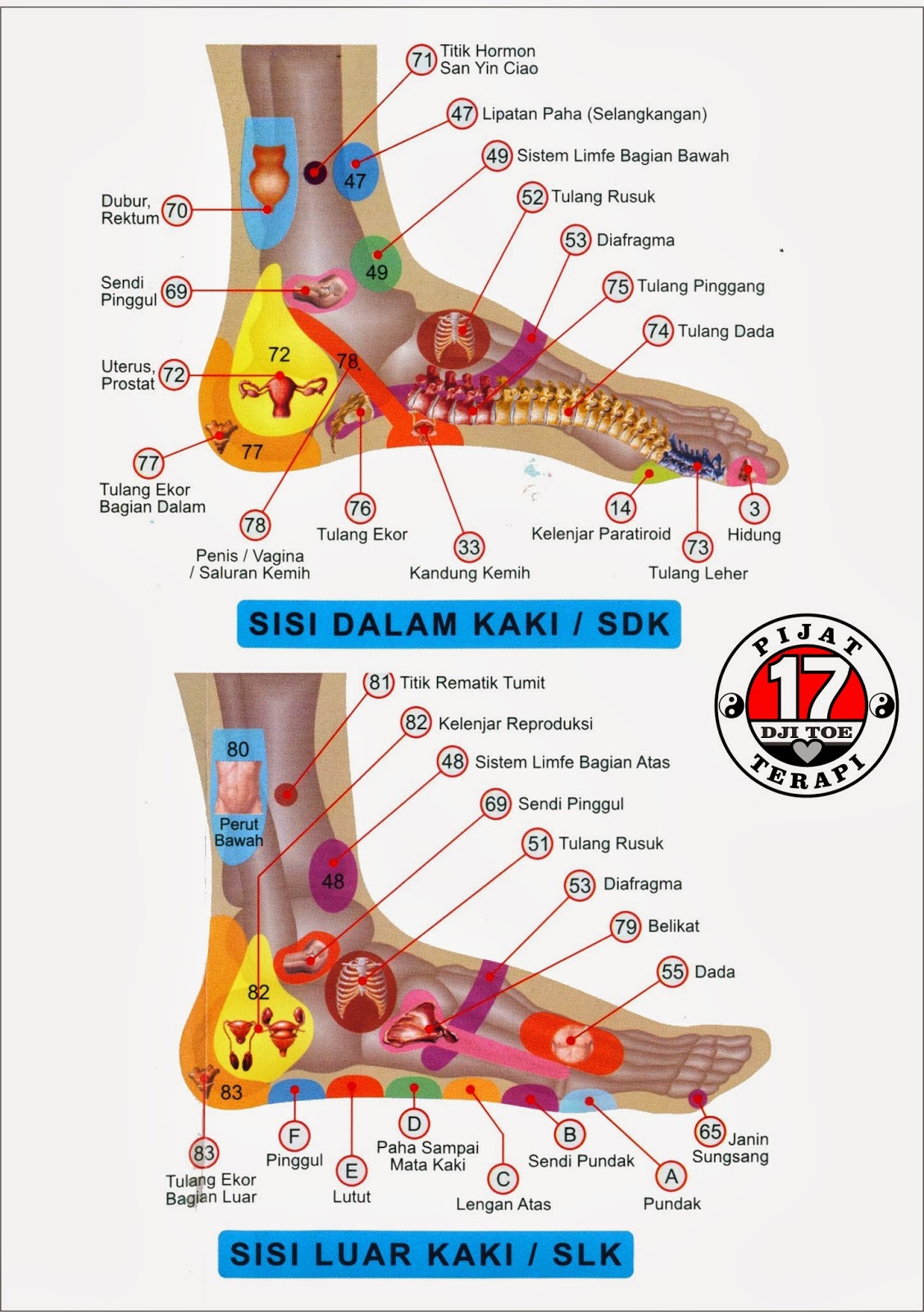 Pijat Refleksi Sakit Asam Urat - Gosok Pi