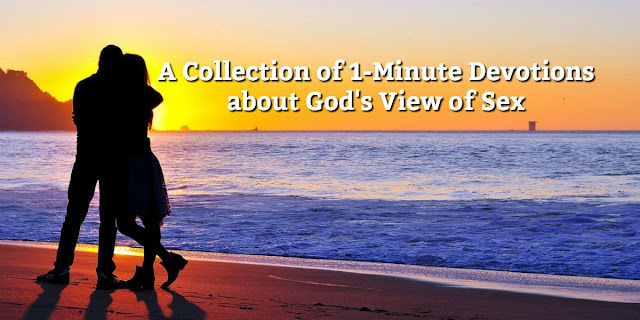 This is a Collection of 1-Minute Devotions about God's View of Sex. Concise, Scriptural, Helpful.