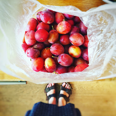 A bag of plums ©bighomebird