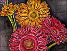 Gerber Daisy Thank You Card