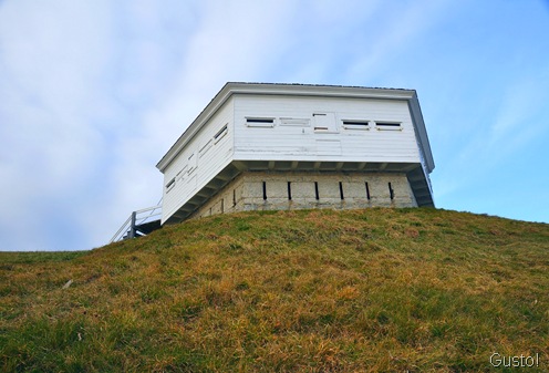 7. Fort Gus