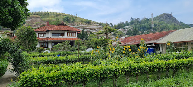 tempat outbound anak di kebun paman tom lembang