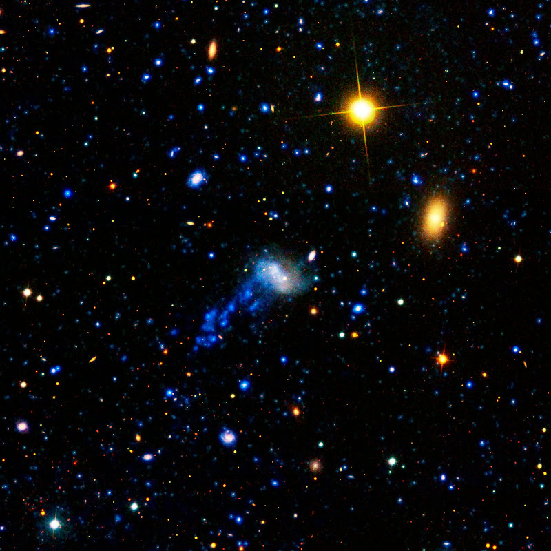 IC 3418 Galaxy's Tail In Ultraviolet Light