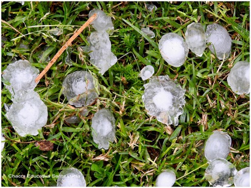 Cristales o piedras de hielo sobre el pasto - Chacra Educativa Santa Lucía