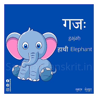 Elephant (हाथी) in Sanskrit