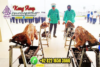 Kambing Guling di Lembang,Jual Kambing Guling di lembang bandung,Jual Kambing Guling di Lembang,kambing guling di lembang bandung,