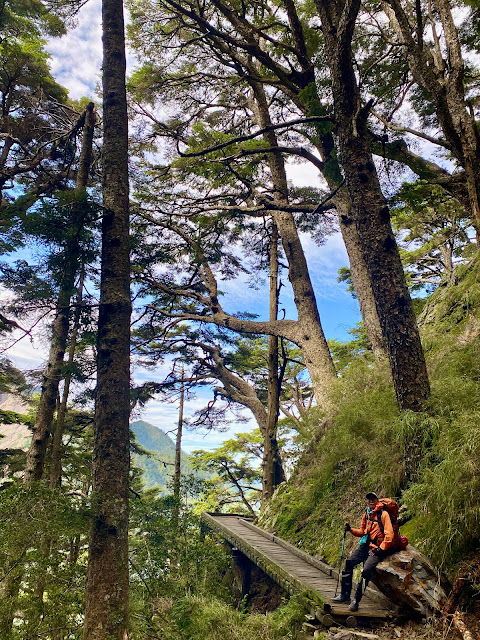 玉山步道