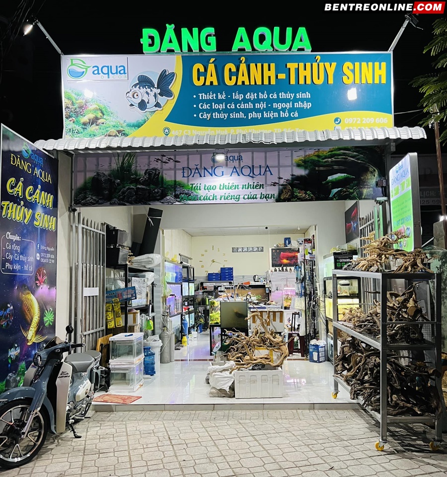 Cửa hàng thủy sinh Đăng Nguyễn Aqua Bến tre