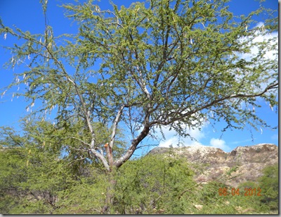 DSCN7193
