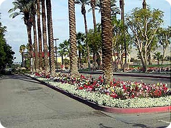casino-flowers-2