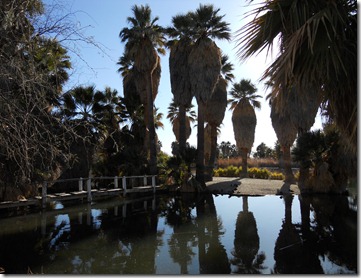 Aqua Caliente Park, Tucson, Az.