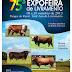 Vem ai a 75ª Expofeira de Livramento