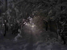 Snow Path