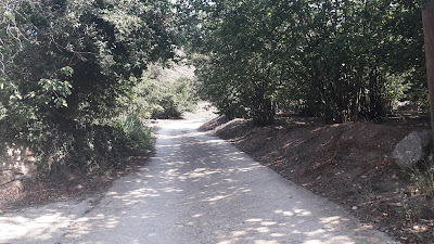 GR-7 Coll de la Teixeta a Arbolí, Camí de la Vall entre camps d'avellaners