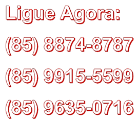 MEUS TELEFONES