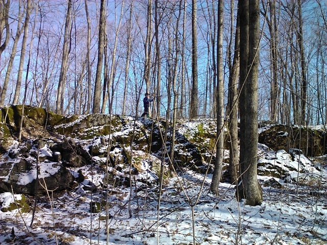 WP_001783