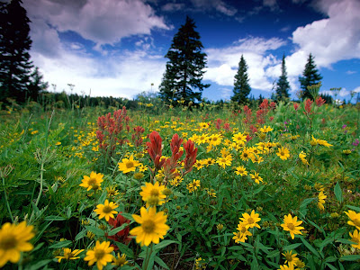 Las mejores imágenes de paisajes naturales - The best nature landscapes