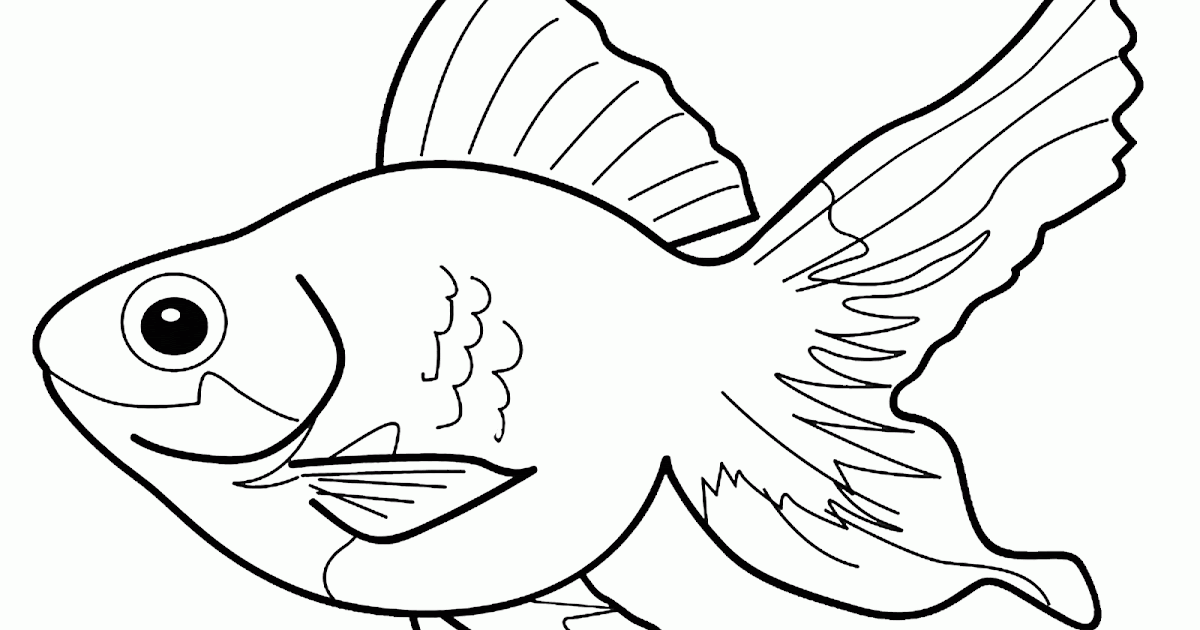  Gambar  Kartun Hewan  Ikan  Bestkartun