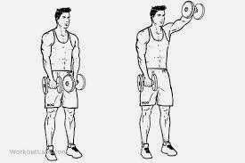 Front dumbbell raise