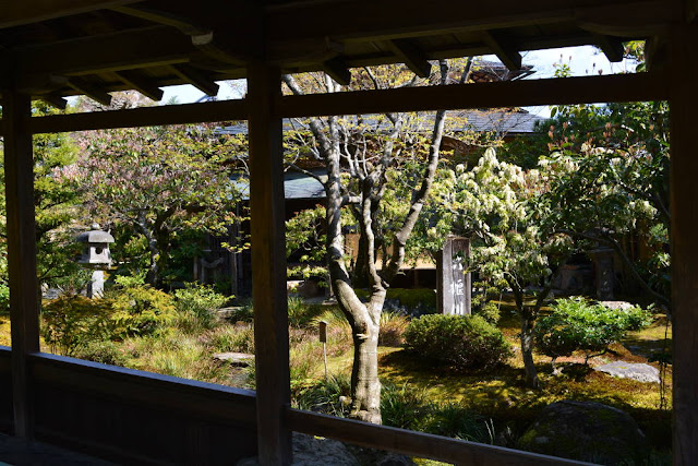 Arashiyama, tenryu-ji, sakura, avril 2019