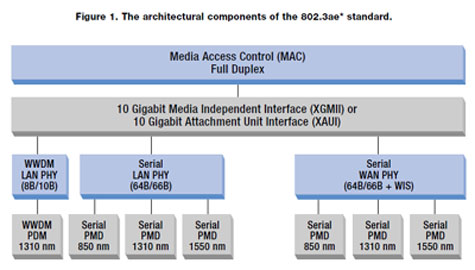 Gigabit Ethernet Connectivity on Connectivity With Sonet Sts 192c Shd Vc 4 64c Networks