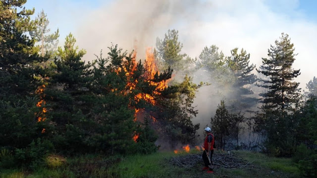 13 fire hearths in Albania, Vlora and Gjirokastra most endangered