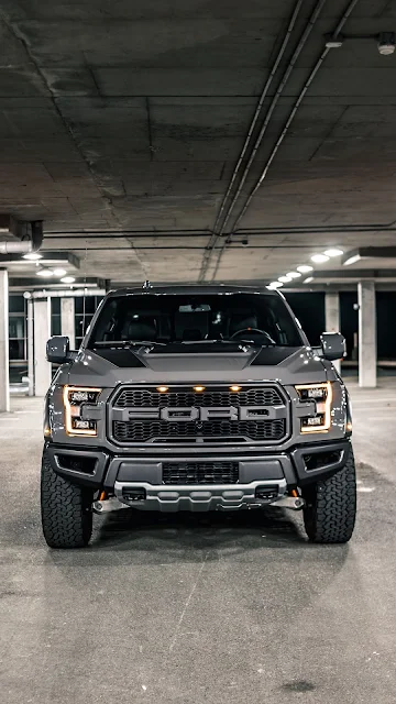 Ford F-150, Gray Ford, Vehicle, SUV