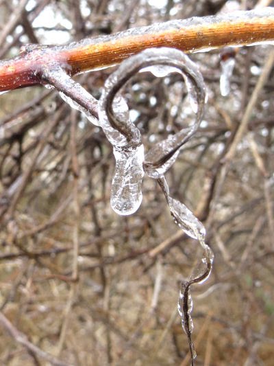 ice storm