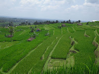 GAMBAR PEMANDANGAN SAWAH DAN PEGUNUNGAN TERINDAH