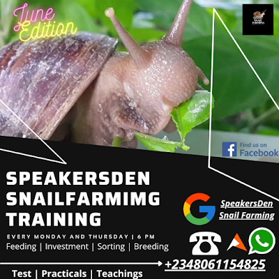SpeakersDen Snail Farming Training (June Edition)