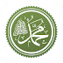 Military career of Muhammad