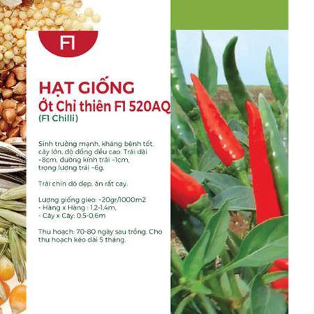 Hạt giống Ớt chỉ thiên F1 520AQ