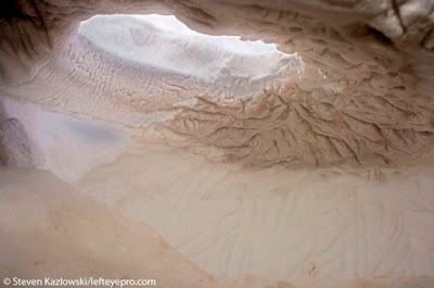 Interior of mother polar bear's den, photo by Stephen Kazlowski